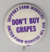 "Don't Buy Grapes," Support Farm Workers Button